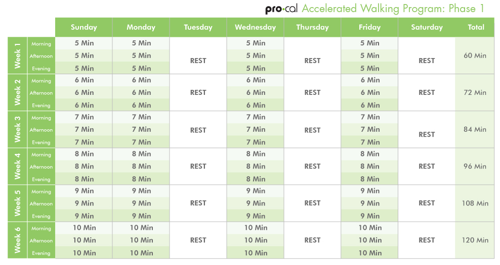 ProCal accelerated walking plan 1